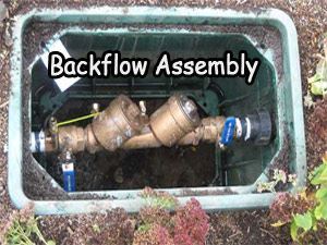 Backflow Assembly